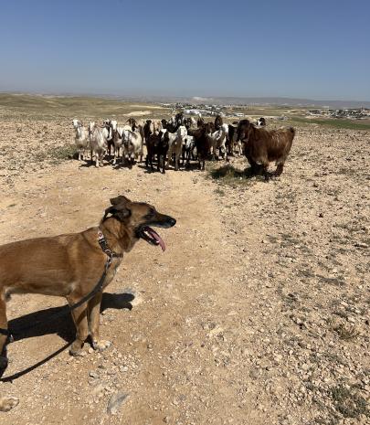 תמונה שהועלתה על ידי המעסיק במודעה