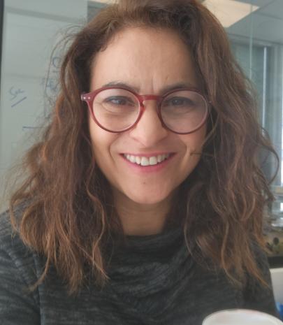 התמונה של קרן